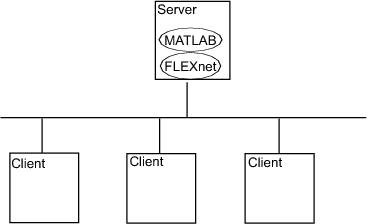 Figure showing the license manager (FLEX l m) and MATLAB  installed on the same server