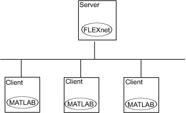 Figure showing  the license manager installed on a server and  MATLAB installed on each client system